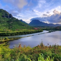 hawaii-6299230_1280